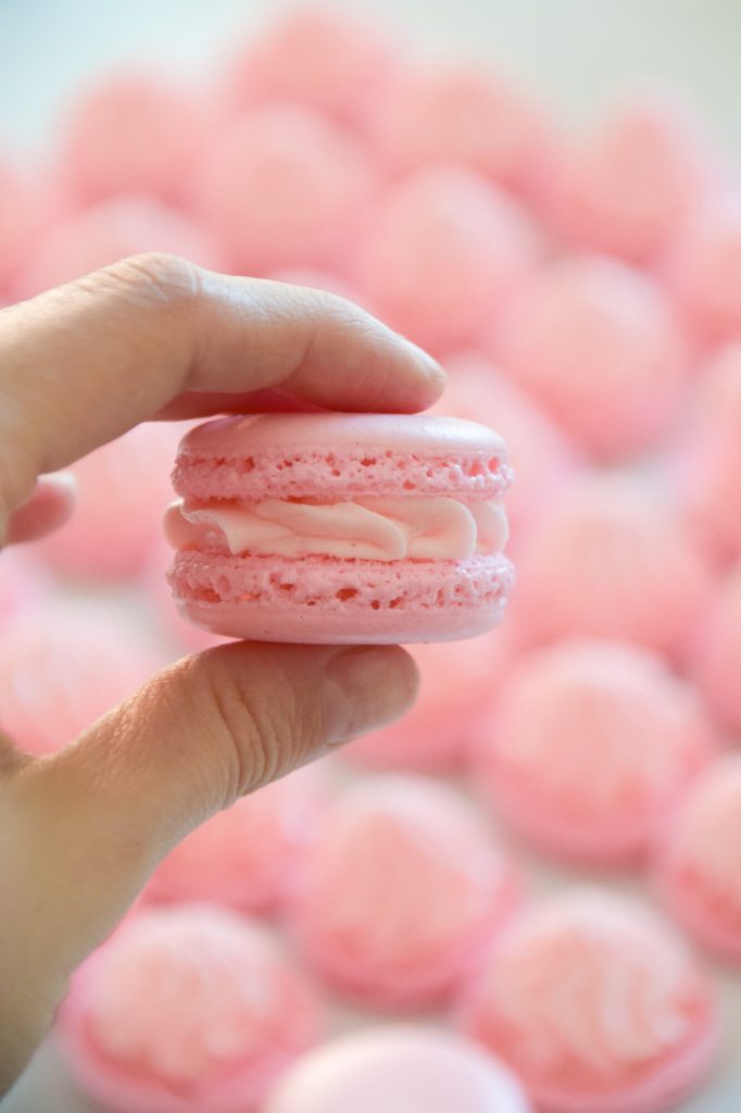 Pink macaron between fingers