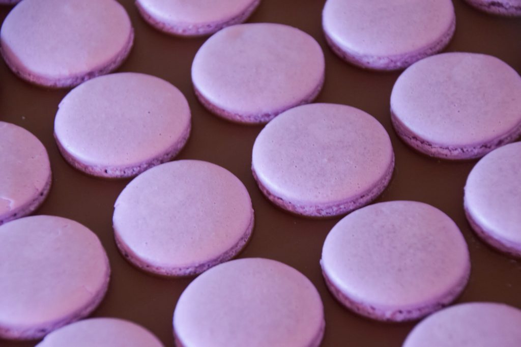 Purple macaron shells
