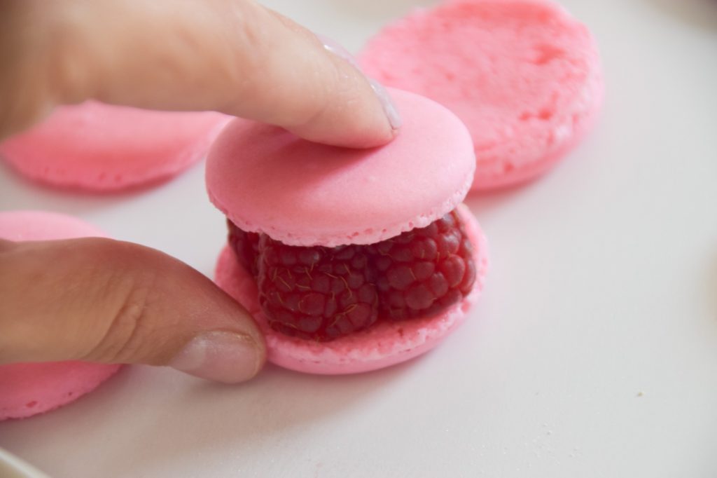 Pink raspberry macarons with fresh raspberries between fingers