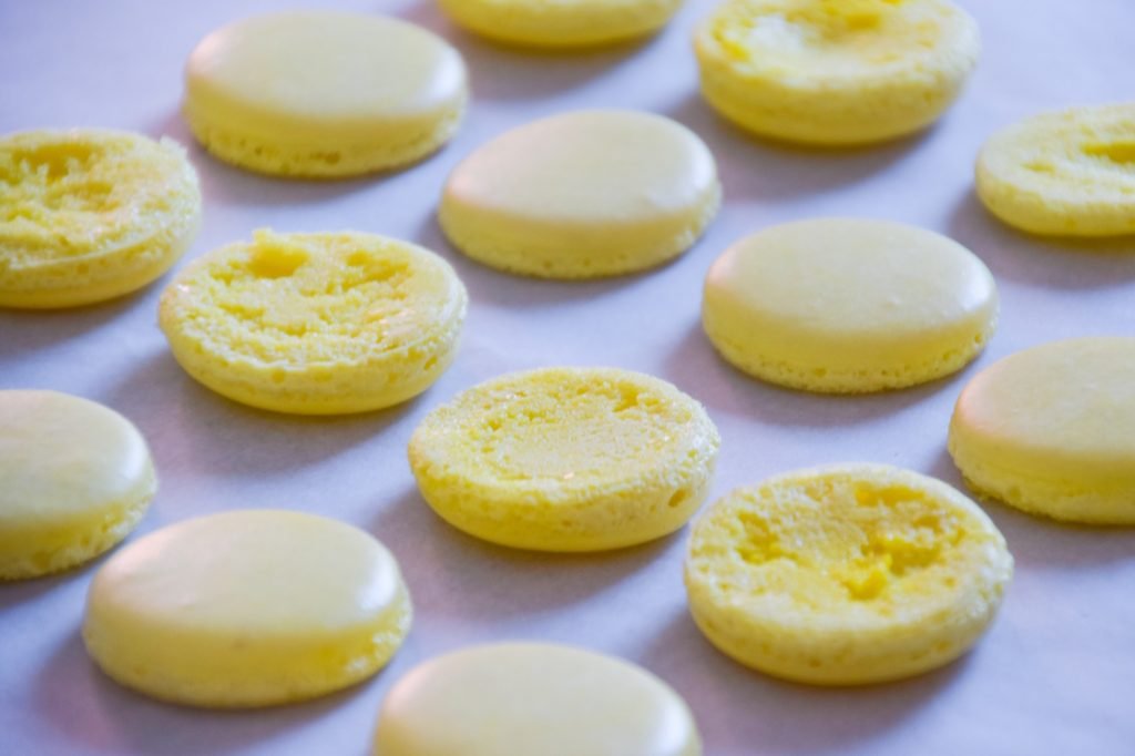 Yellow Macaron Shells