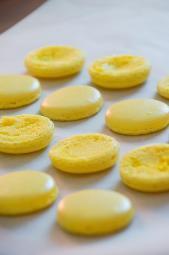Yellow Macaron Shells