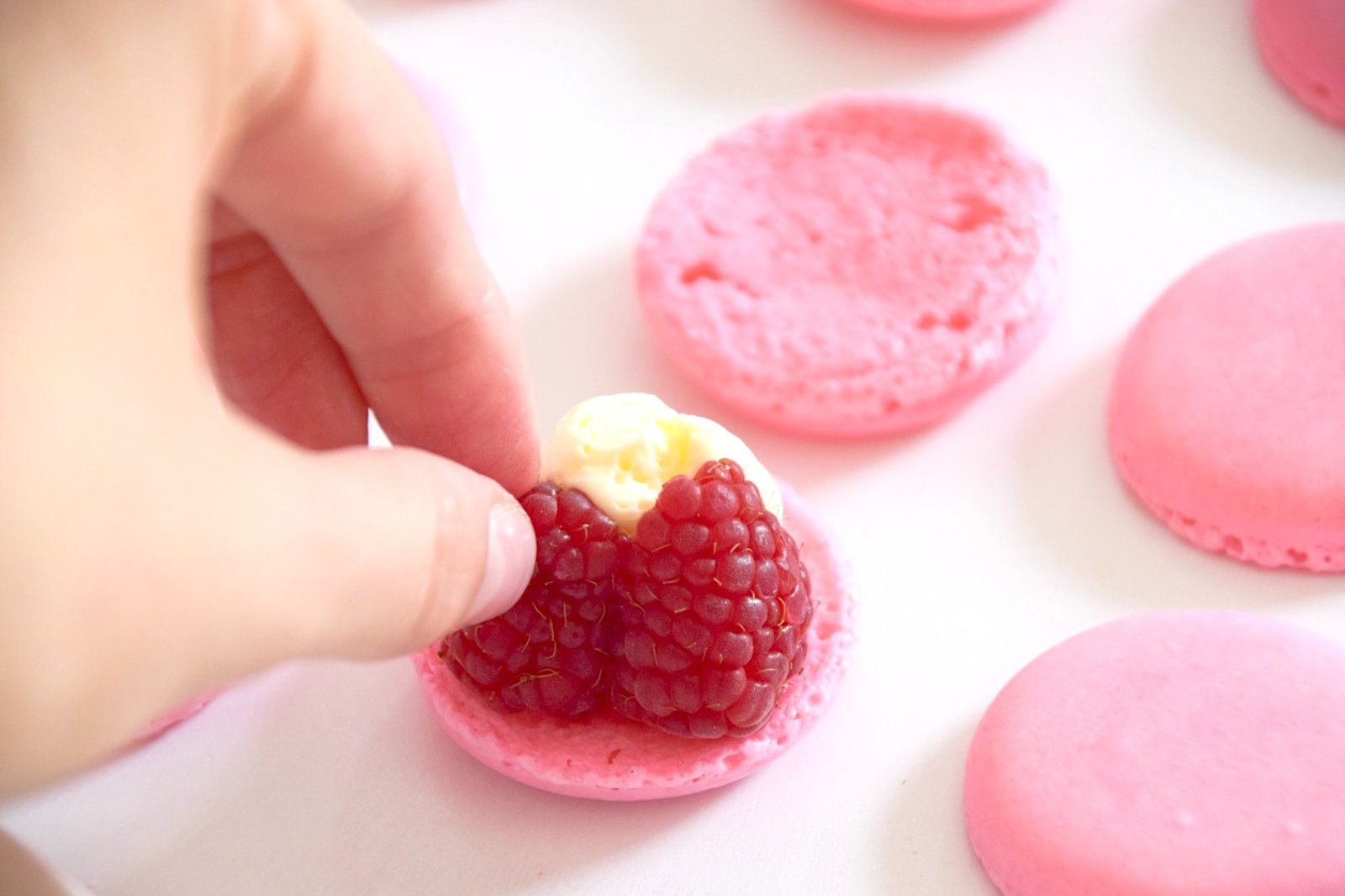 Raspberry Vanilla Macarons (with Fresh Raspberries) - Baking with Belli