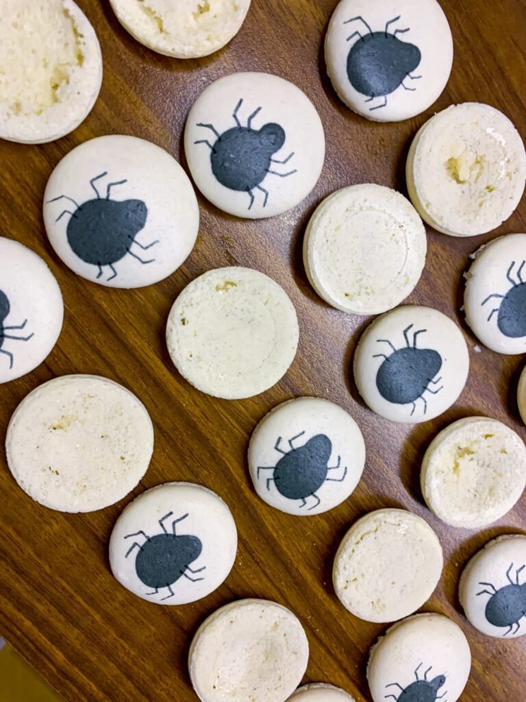 Homemade Black Macarons Orange Pumkin Spider Monster Ghost Halloween theme Macarons DIY recipe ideas