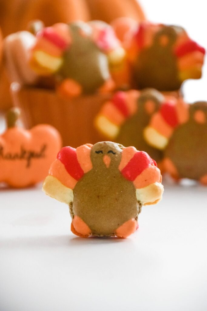 Thanksgiving Turkey Pumpkin Macarons Orange