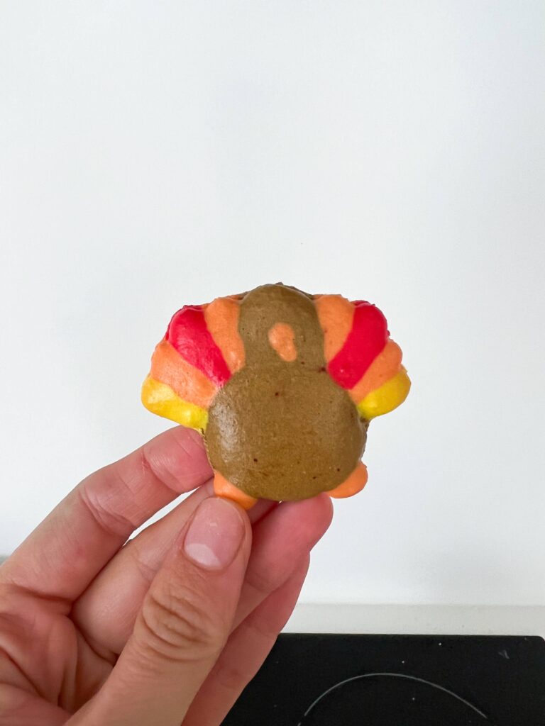Thanksgiving Turkey Macarons